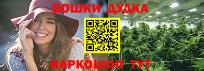 a pvp Аша