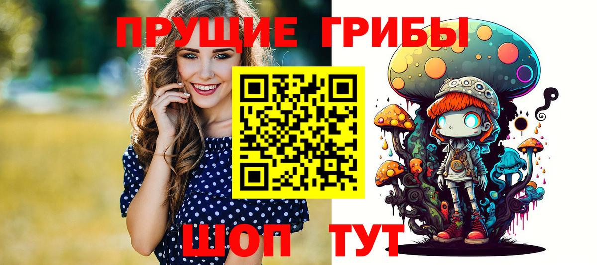 Псилоцибиновые грибы мицелий Алейск