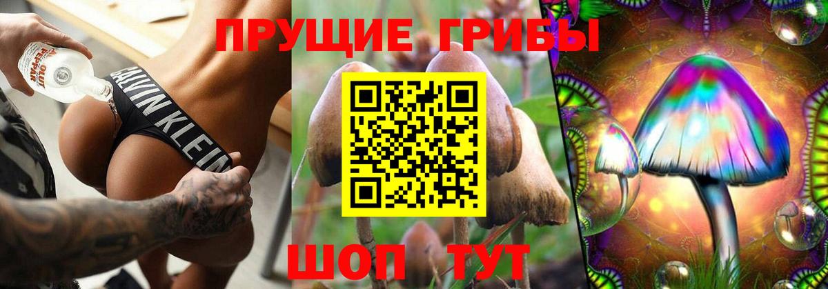 Псилоцибиновые грибы мухоморы  Вход с VPN  Алейск  Галлюциногенные грибы GOLDEN TEACHER 